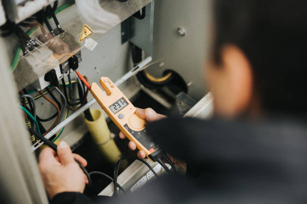 Best Electrician for Home Renovation  in Mondovi, WI